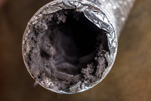 Best Affordable Air Duct Cleaning  in Vicksburg, MI