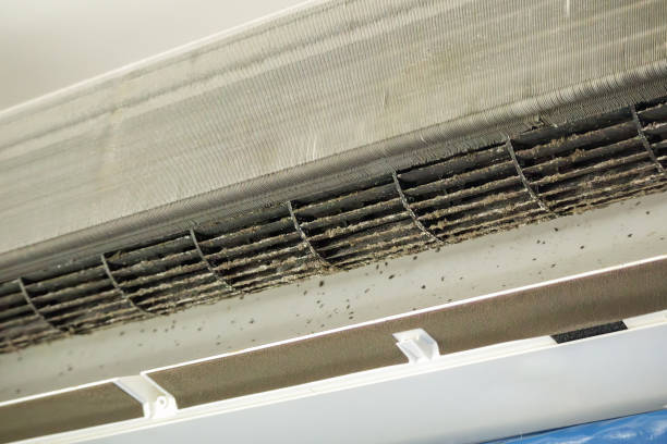 Best Air Duct Cleaning Near Me in Vicksburg, MI